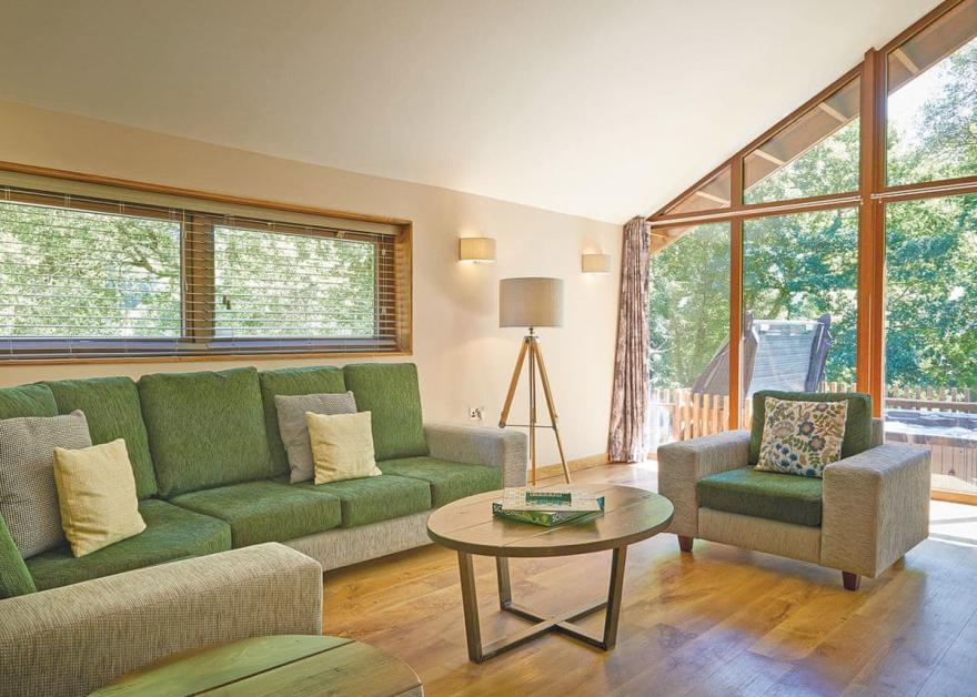 Beddgelert Silver Birch 2