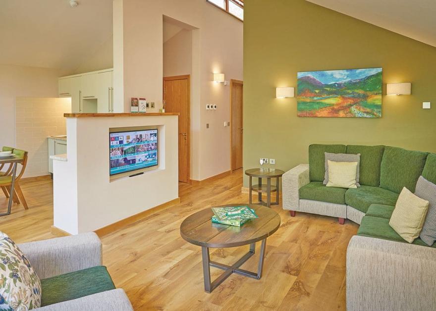 Beddgelert Silver Birch 2