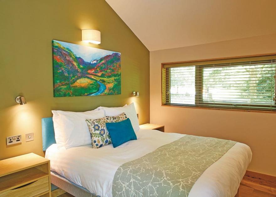 Beddgelert Silver Birch 2