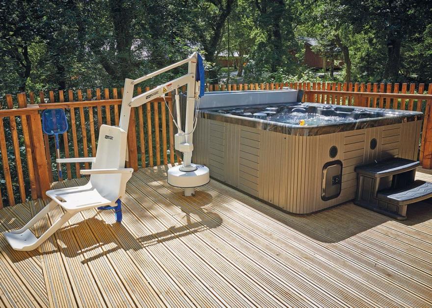 Beddgelert Silver Birch WF (Pet)