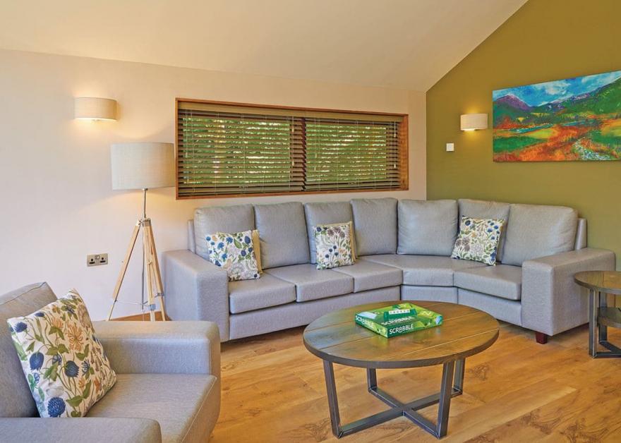 Beddgelert Silver Birch WF (Pet)