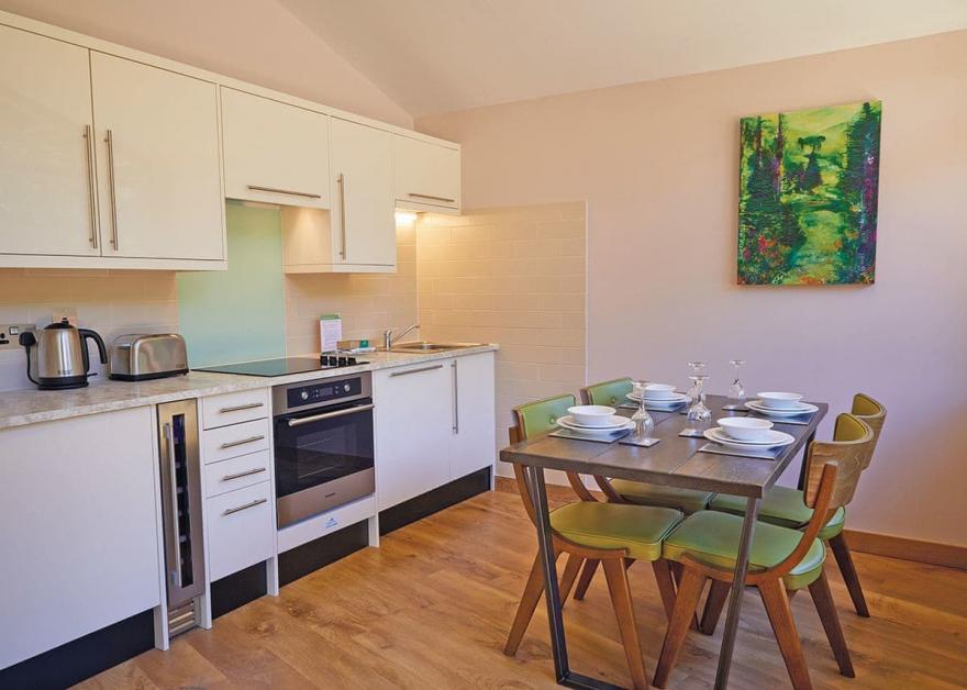 Beddgelert Silver Birch 3 (Pet)