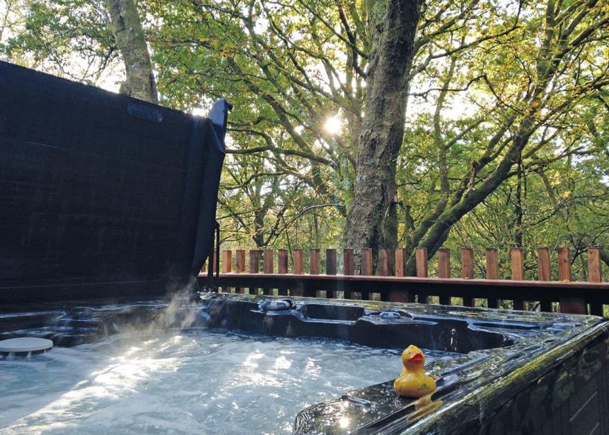 Beddgelert Golden Oak 3