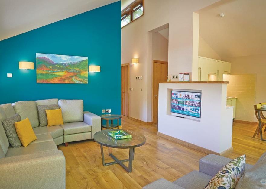 Beddgelert Golden Oak 3 (Pet)