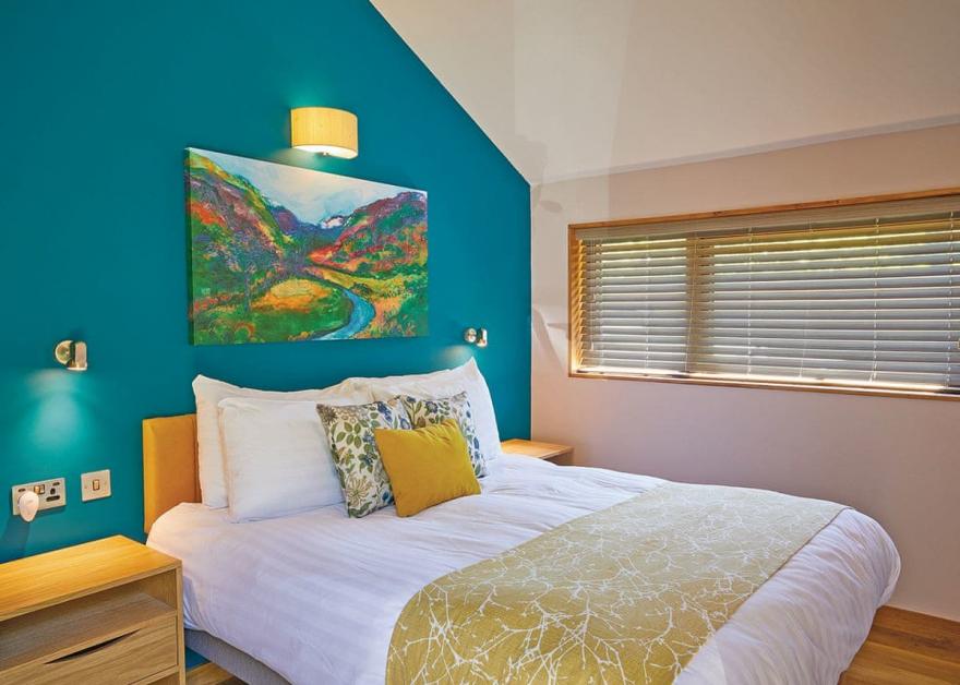 Beddgelert Golden Oak 3 (Pet)