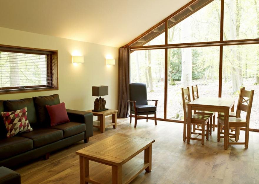 Blackwood Silver Birch 2 WF (Pet)