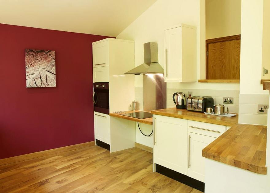 Blackwood Silver Birch 2 WF (Pet)