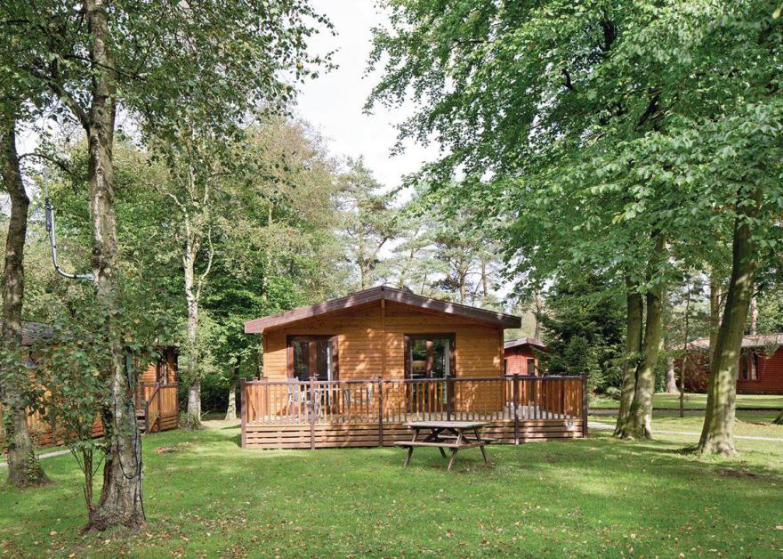 Chatsworth Elite Vogue 3