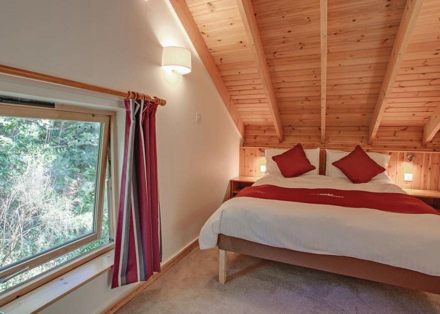 Deerpark Silver Birch 2 (Pet)