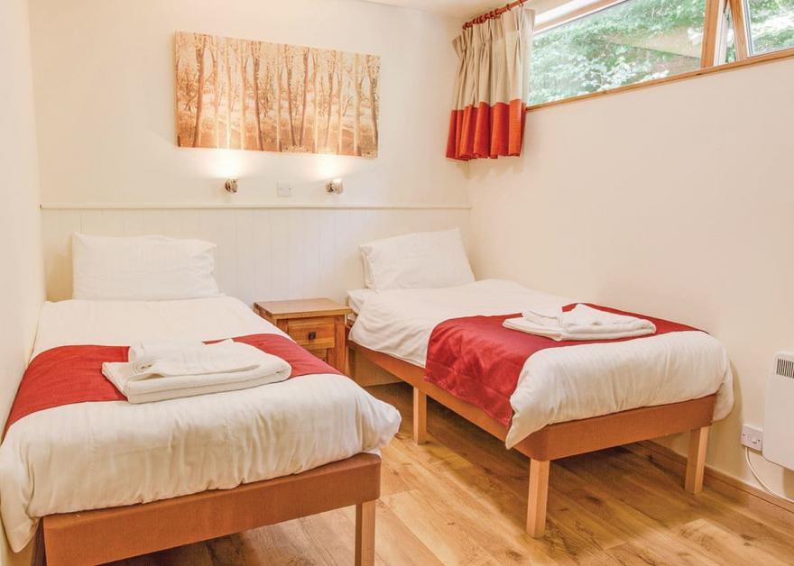 Deerpark Golden Oak 3 (Pet)