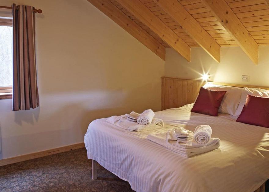 Deerpark Golden Oak 2 (Pet)