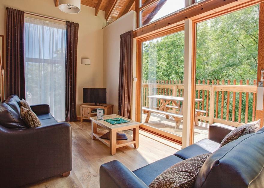 Deerpark Silver Birch 3 (Pet)