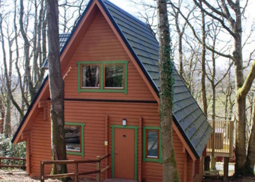 Luxury Woodland Lodge Four VIP