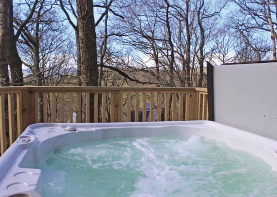 Luxury Woodland Lodge Four VIP