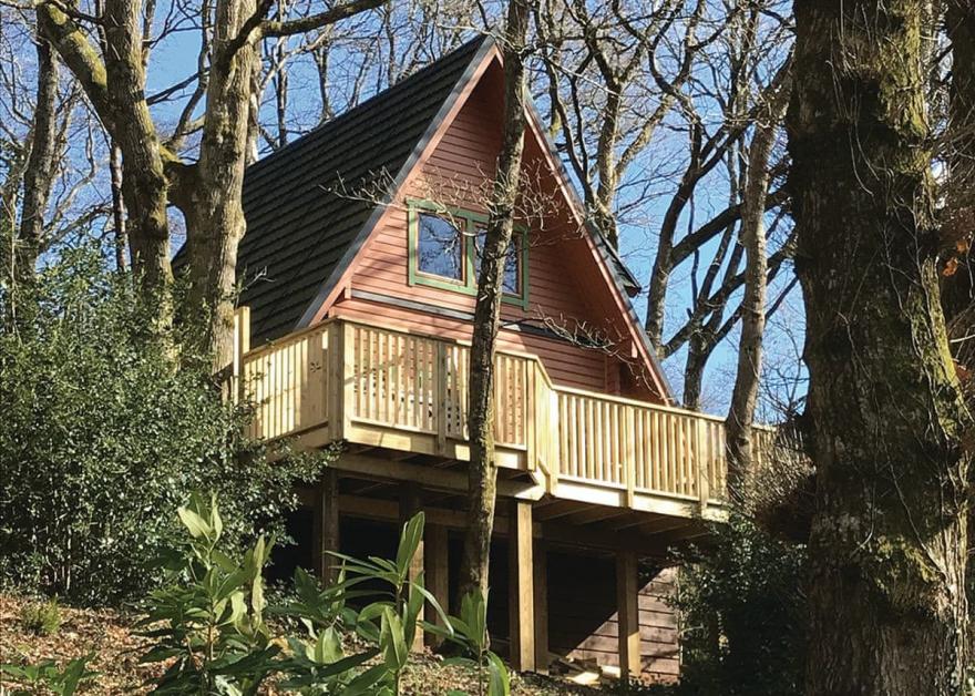 Luxury Woodland Lodge Four VIP