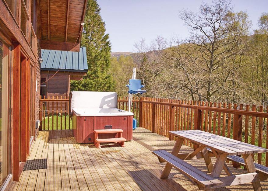 Keldy Silver Birch 2 WF (Pet)