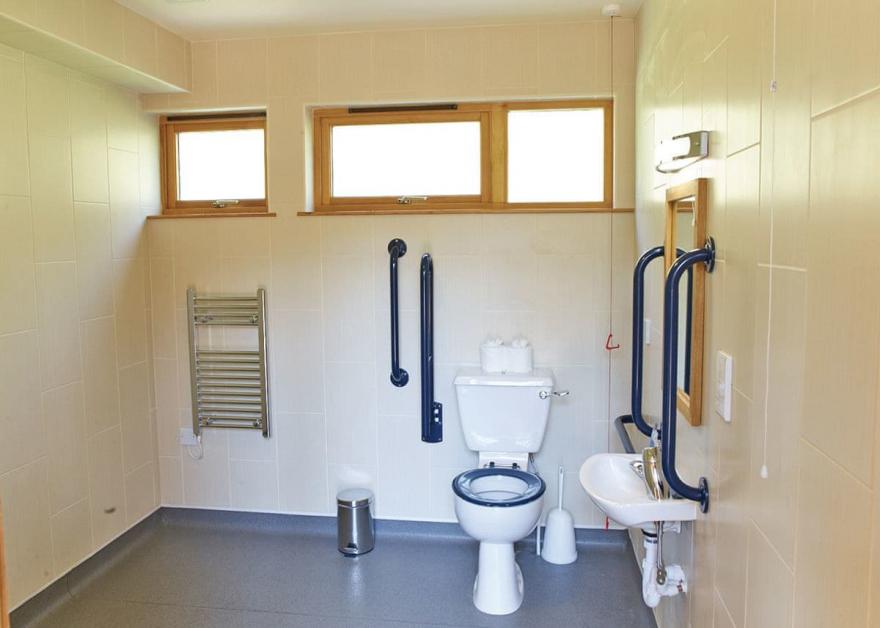 Keldy Silver Birch 2 WF (Pet)