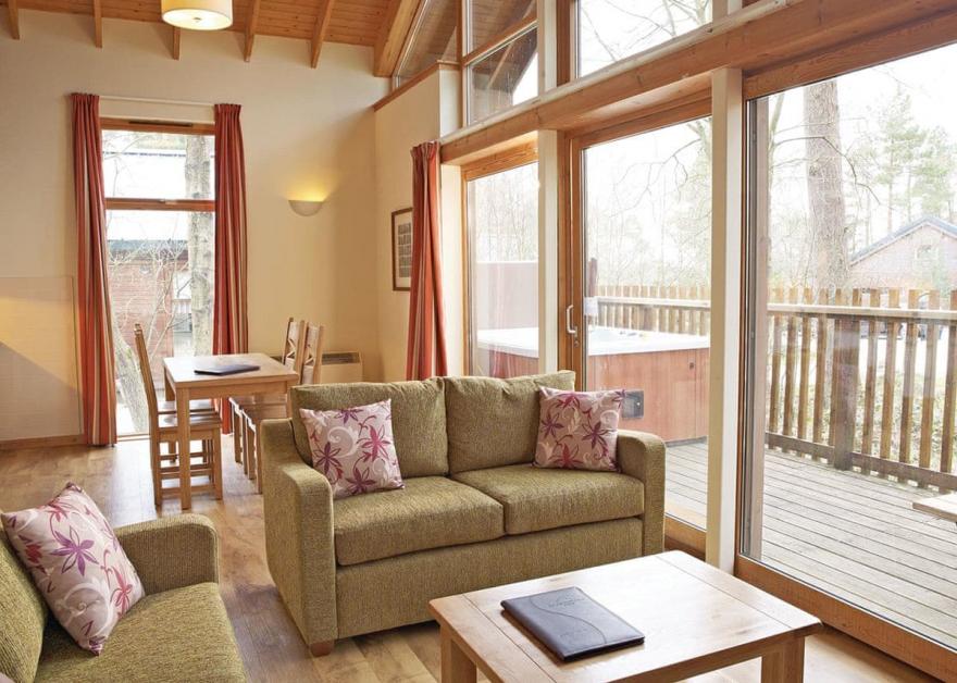 Keldy Silver Birch 2 (Pet)