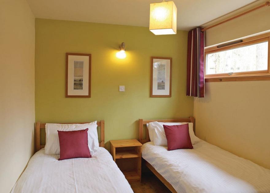 Keldy Silver Birch 2 (Pet)