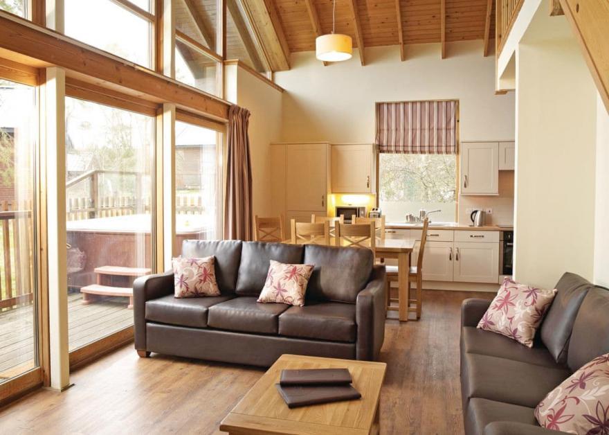 Keldy Golden Oak 3 (Pet)