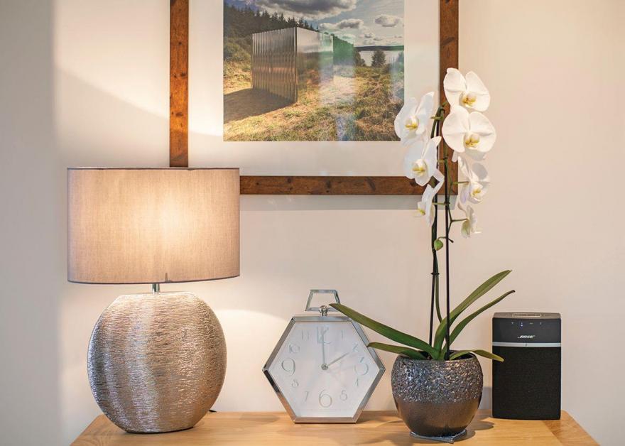 Beech Platinum Stars