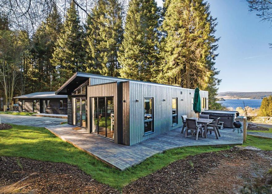 Beech Platinum Stars