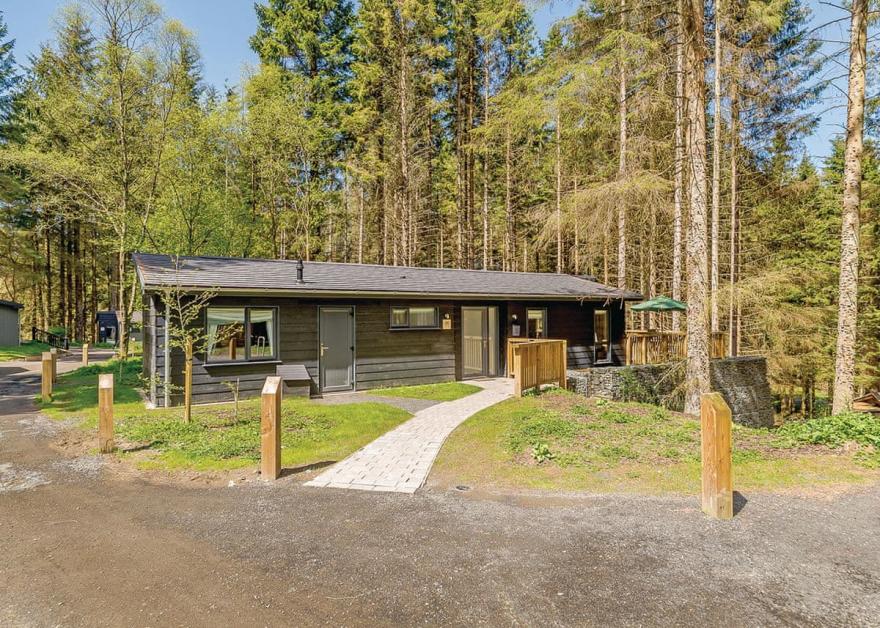 Willow Platinum Swim