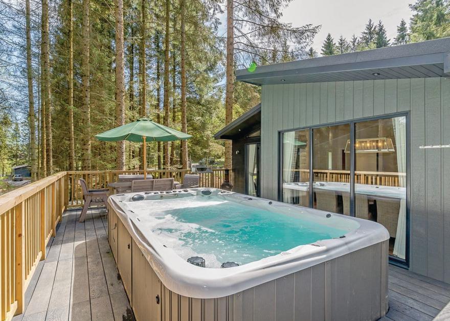 Willow Platinum Swim