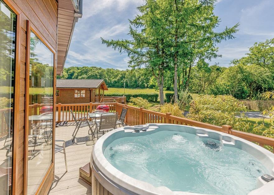 Foxglove 4 Platinum Plus