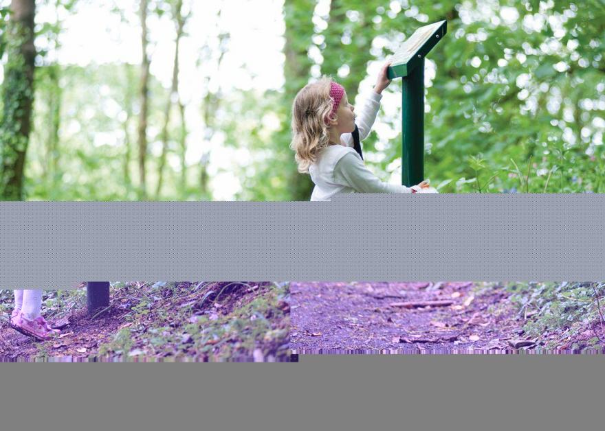 SI 2 Bed Gold Bungalow Sleeps 4