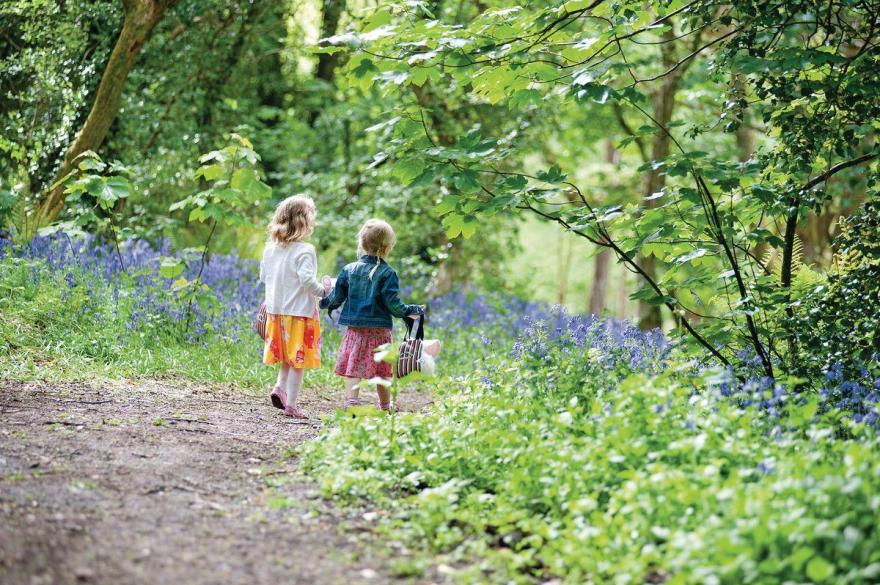 SI 2 Bed Platinum Caravan Lodge Plus