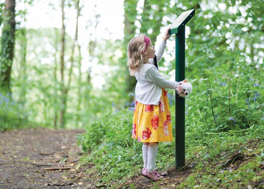 SI 3 Bed Platinum Caravan Lodge Plus