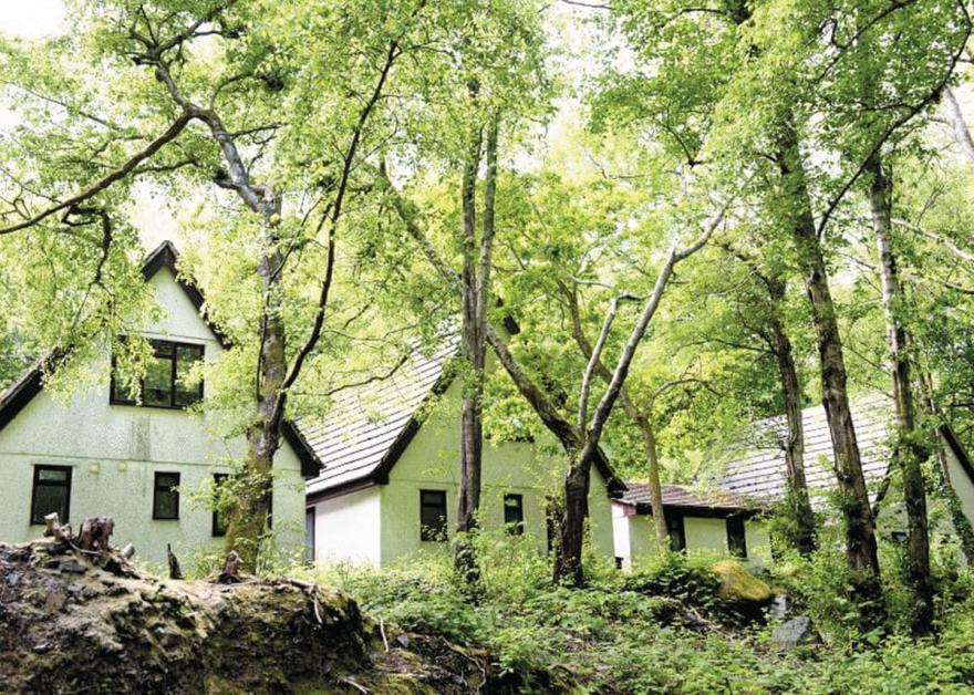 SI 3 Bed Bronze Swiss Chalet Pet