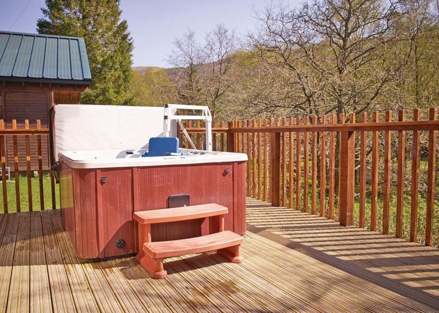 Strathyre Silver Birch 2 WF (Pet)