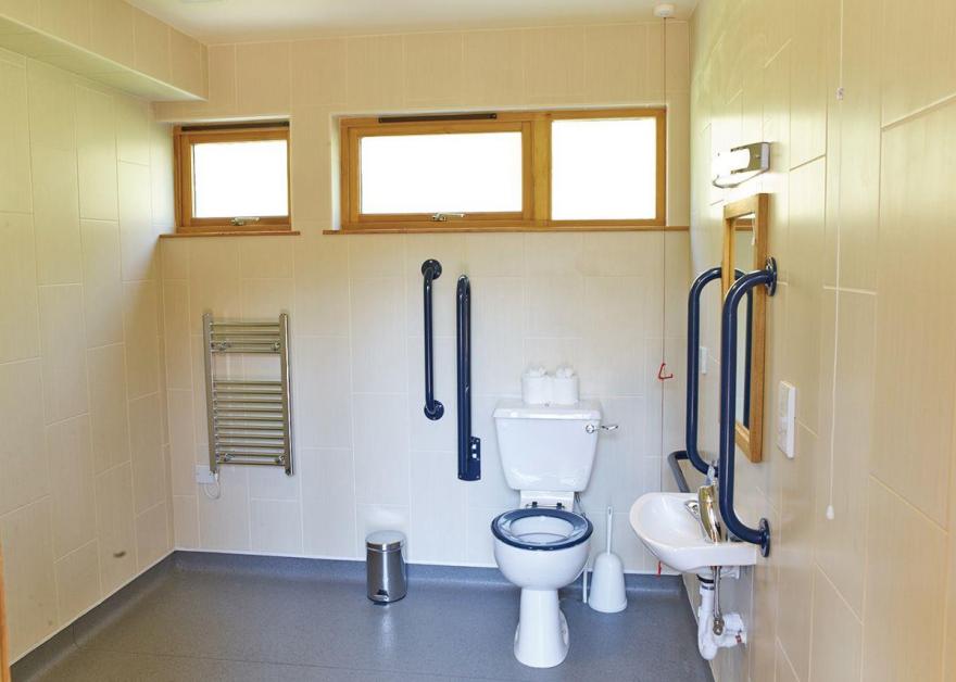 Strathyre Silver Birch 2 WF (Pet)