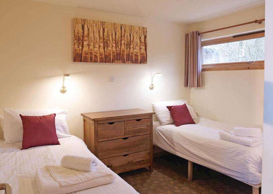 Strathyre Silver Birch 2 (Pet)