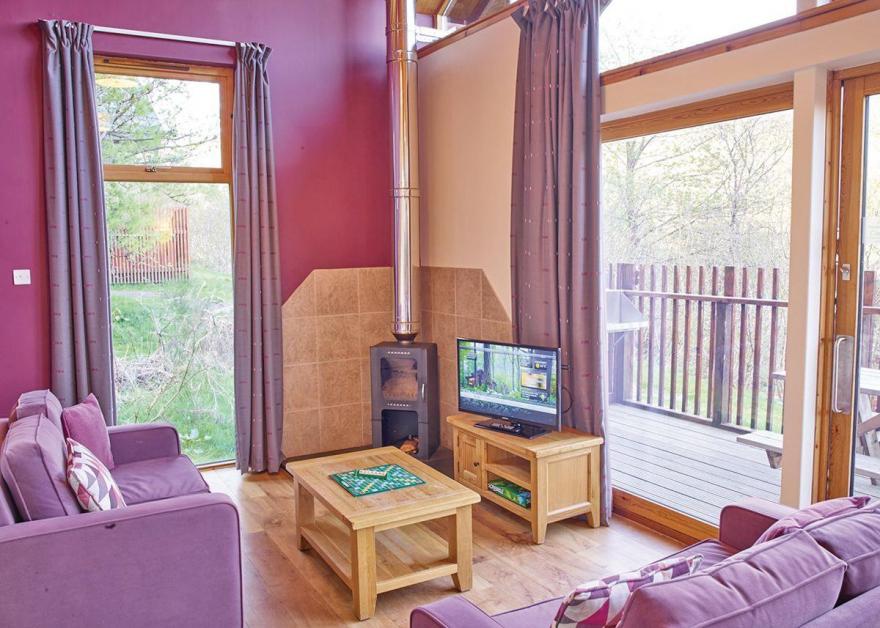 Strathyre Golden Oak 2 (Pet)