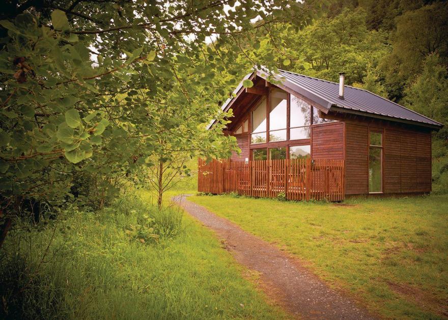 Strathyre Golden Oak 2 (Pet)