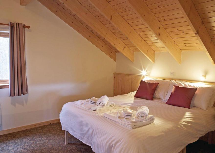 Strathyre Golden Oak 3 (Pet)