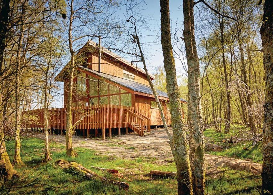 Strathyre Golden Oak 4 (Pet)