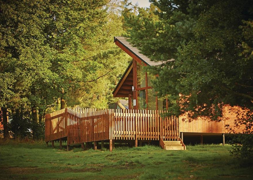 Cropton Silver Birch 3 (Pet)