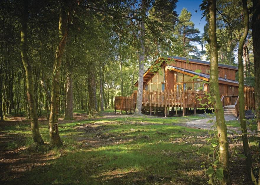 Cropton Golden Oak 2 (Pet)