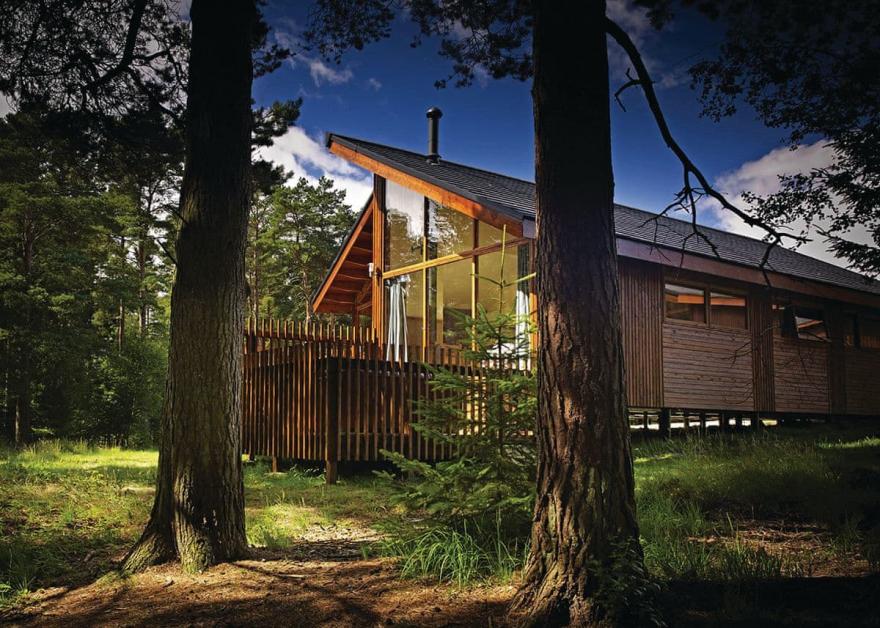 Cropton Golden Oak 3 (Pet)