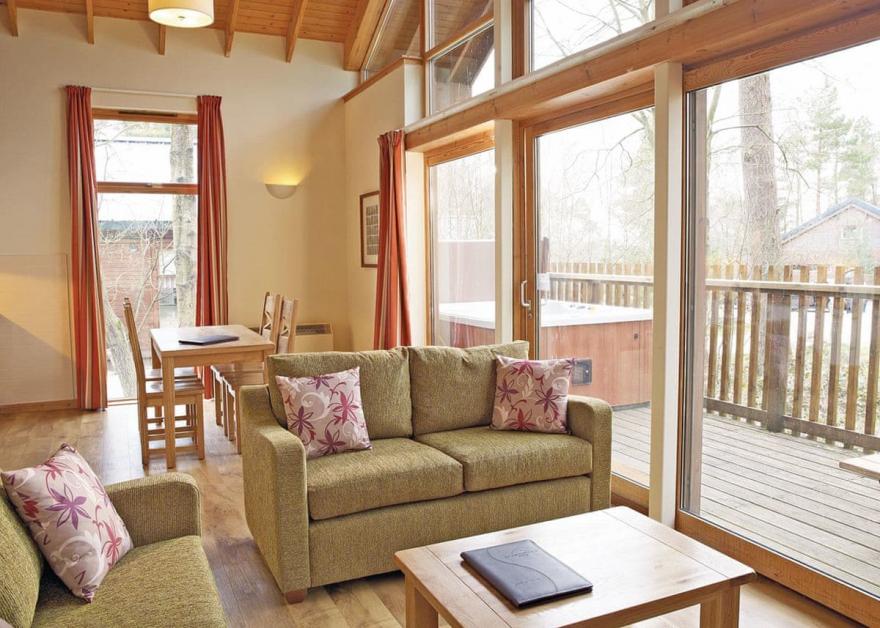 Strathyre Silver Birch 3 (Pet)