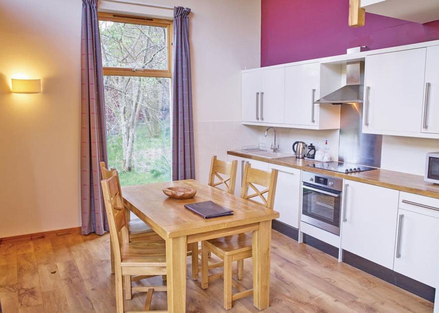 Strathyre Silver Birch 3 (Pet)