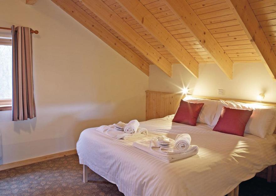 Strathyre Silver Birch 3 (Pet)