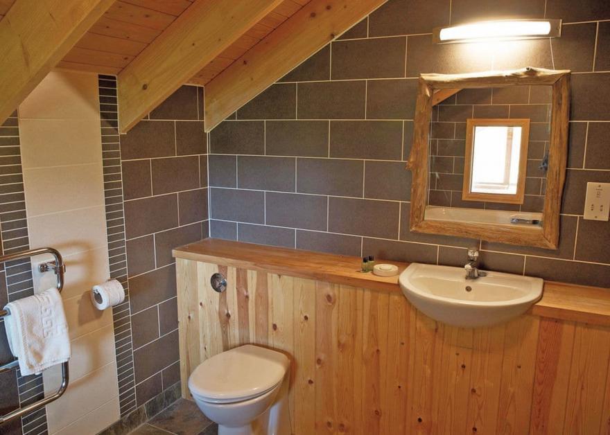 Strathyre Silver Birch 3 (Pet)