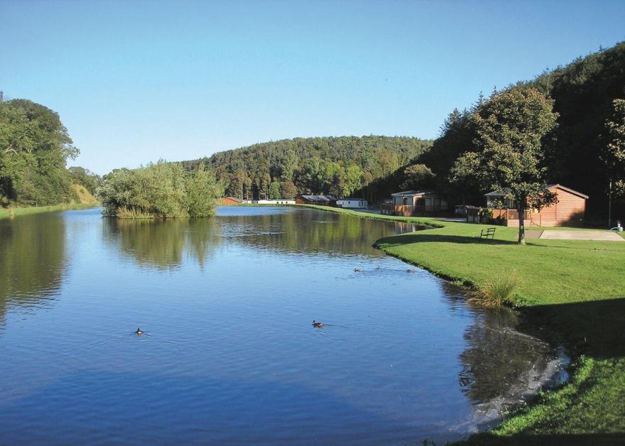 Superior Lodge 3 (Pet)