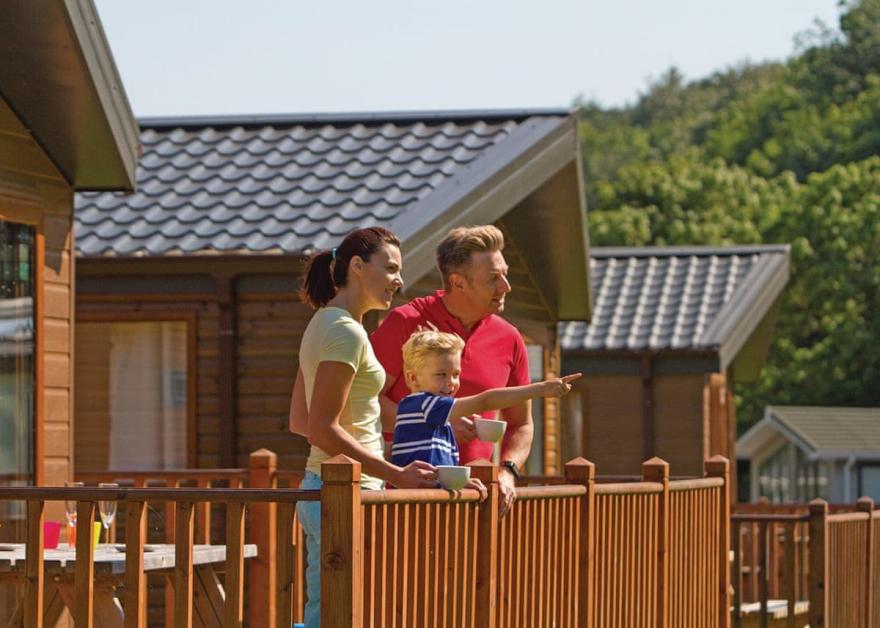 Deluxe Lodge 3 (Pet)