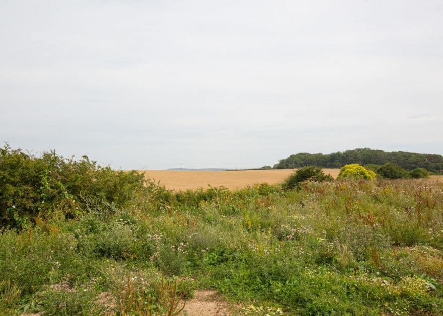 Superior Cottage 3 Pet